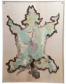 skin of land