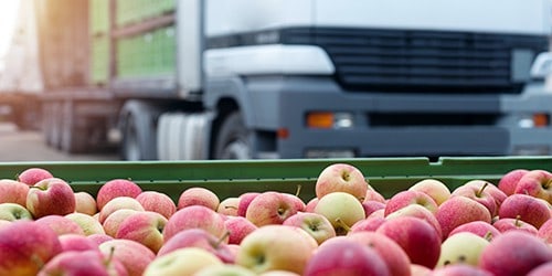 Import Services