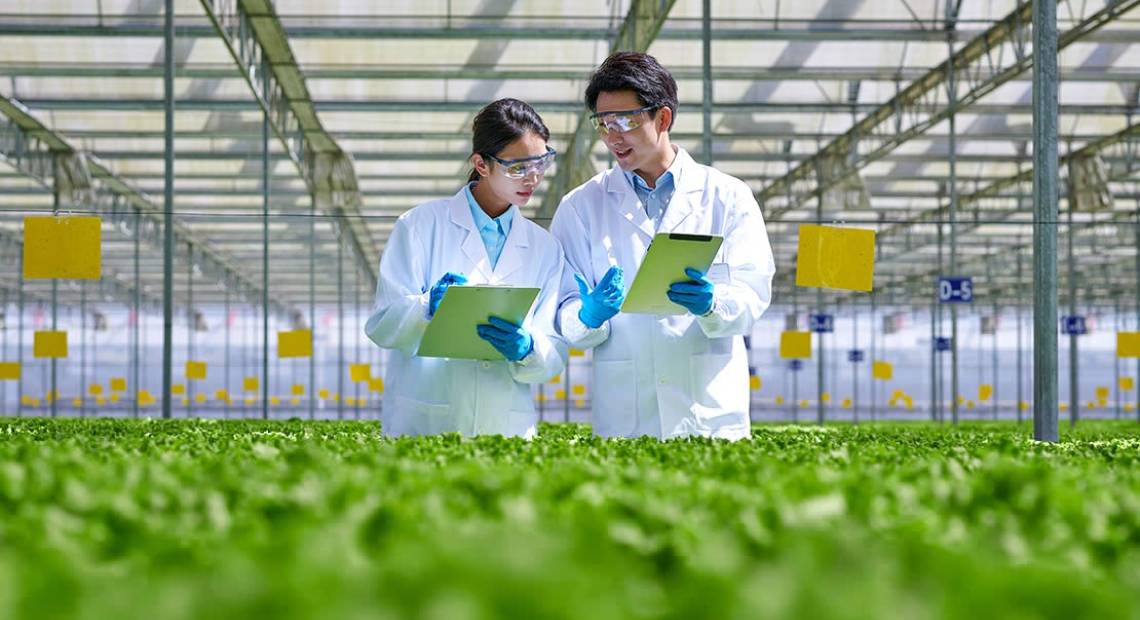 High Tech & Green Facility (HTG)