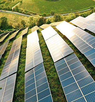 Starting Small, Impacting Big: Your ESG Journey Begins Here