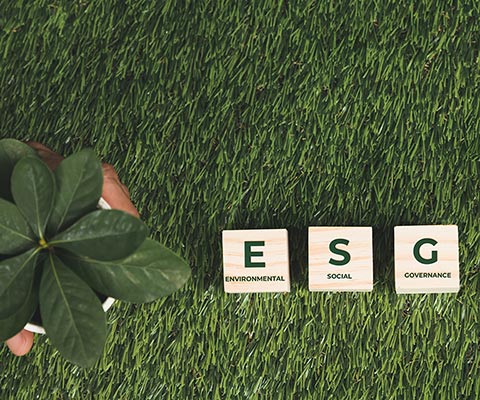 Go Green By Implementing The ‘G’ In ESG