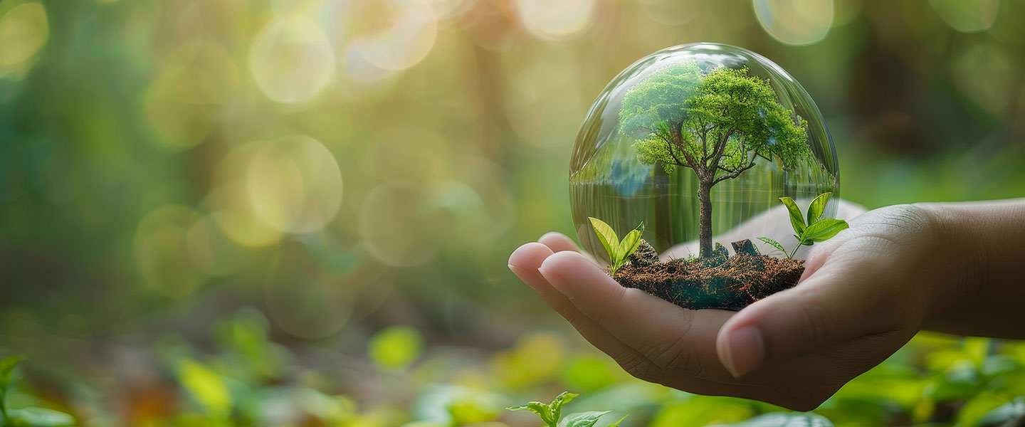 5 Sustainability Practices Implemented In Malaysian Businesses Today