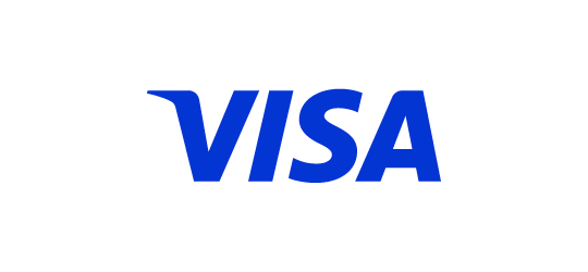 Visa Platinum Business Card logo