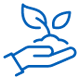 Provide customised roadmap with clear and actionable steps