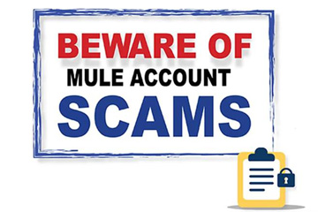 Mule Account