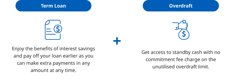 term loan and overdraft