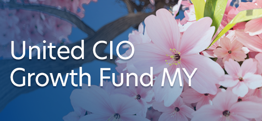 United CIO Growth Fund MY
