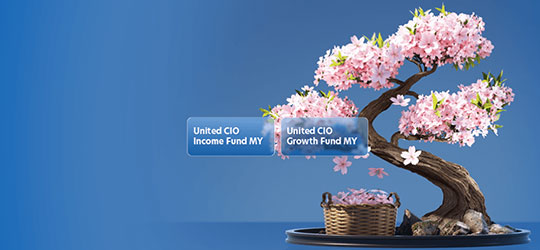 United CIO Funds MY