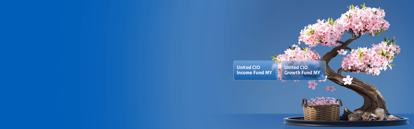 United CIO Funds MY