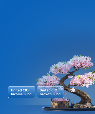 United CIO Funds MY