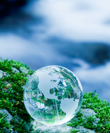 Market outlook insights for informed investment decisions