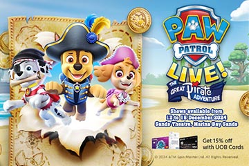 paw patrol live