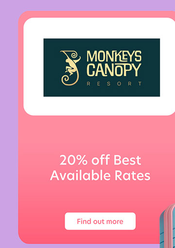 Monkeys Canopy