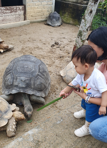 THE BENTONG FARM