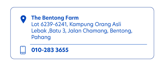 THE BENTONG FARM