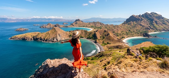 The Travel Insider