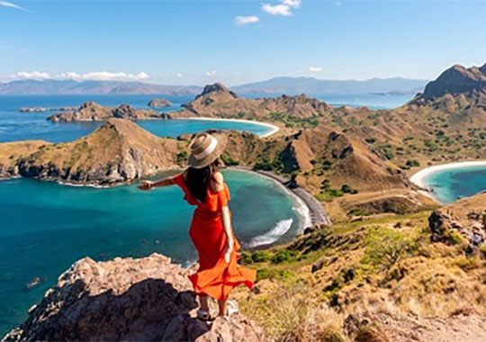 The Travel Insider 