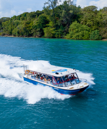 Albatross Speedboat