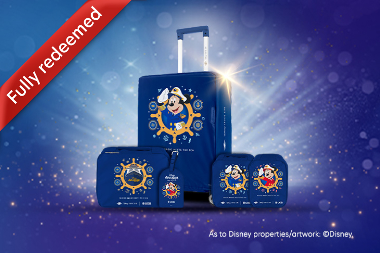 Disney-themed Luggage Set