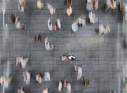 Risk Management