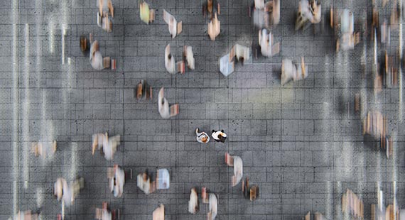 risk management