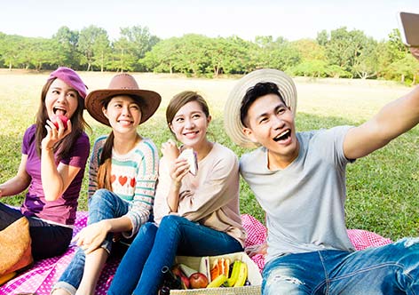 ideal-lifestyle-protection